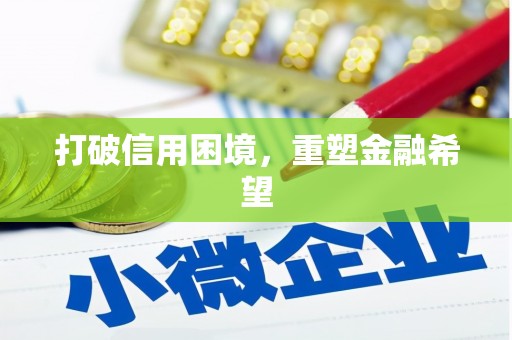 池上打破信用困境，重塑金融希望