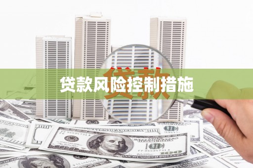 池上贷款风险控制措施