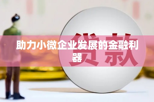 池上助力小微企业发展的金融利器