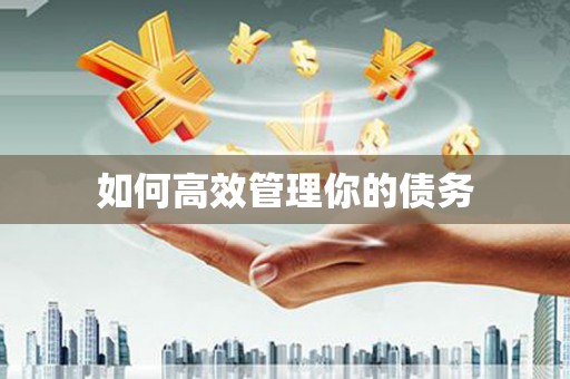 池上如何高效管理你的债务
