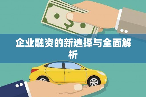 池上企业融资的新选择与全面解析