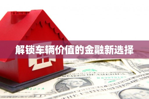 池上解锁车辆价值的金融新选择