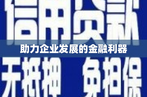 池上助力企业发展的金融利器