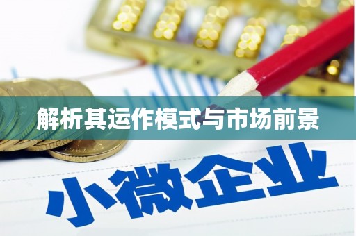 池上解析其运作模式与市场前景