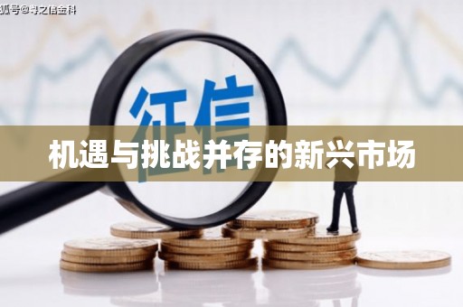 池上机遇与挑战并存的新兴市场