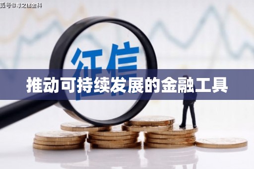 池上推动可持续发展的金融工具