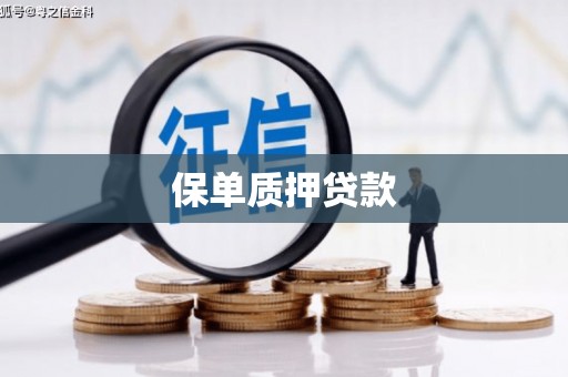 池上保单质押贷款