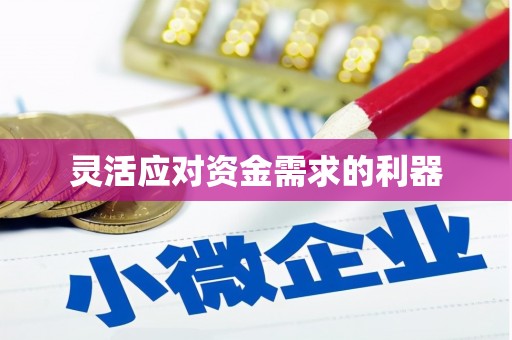 池上灵活应对资金需求的利器