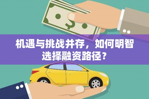 池上机遇与挑战并存，如何明智选择融资路径？