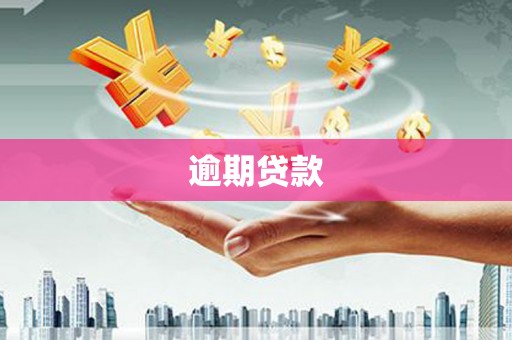 池上逾期贷款
