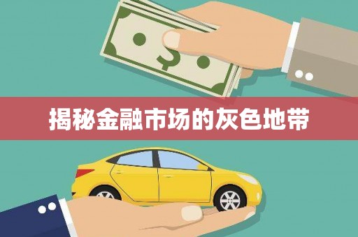 池上揭秘金融市场的灰色地带