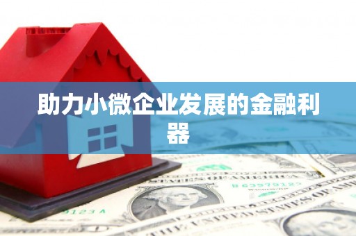 池上助力小微企业发展的金融利器