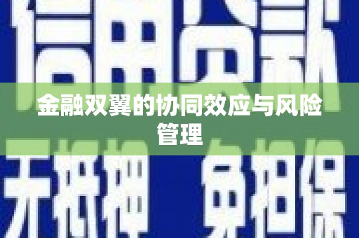 池上金融双翼的协同效应与风险管理