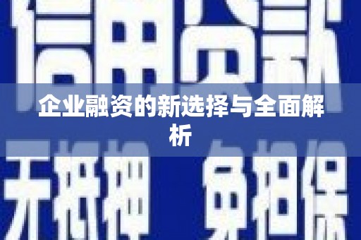 池上企业融资的新选择与全面解析