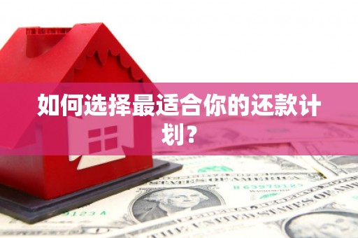 池上如何选择最适合你的还款计划？