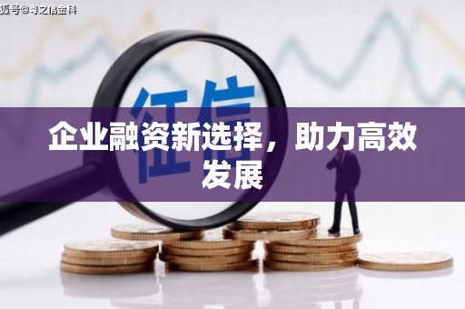 池上企业融资新选择，助力高效发展