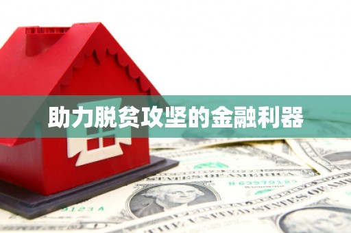 池上助力脱贫攻坚的金融利器