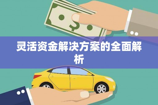池上灵活资金解决方案的全面解析