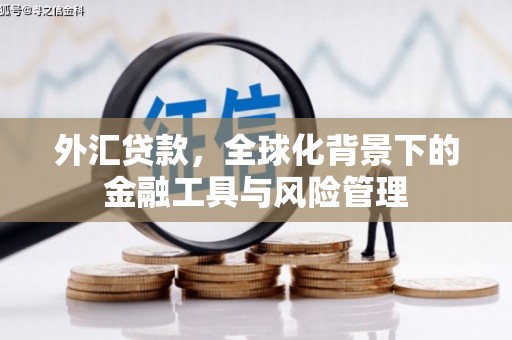 池上外汇贷款，全球化背景下的金融工具与风险管理