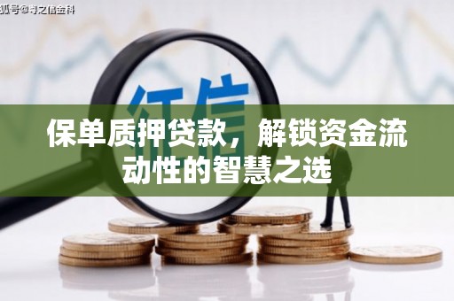 池上保单质押贷款，解锁资金流动性的智慧之选